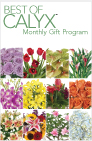 12, 6, or 3 Monthly Gift Programs are available