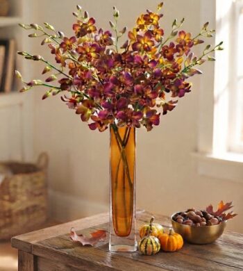 Brandy Orchids