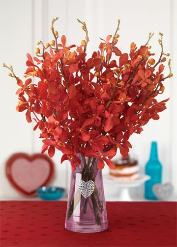 Red Dutch Tulips - Calyx Flowers, Inc. valentine's day bouquet of orchids in a vase
