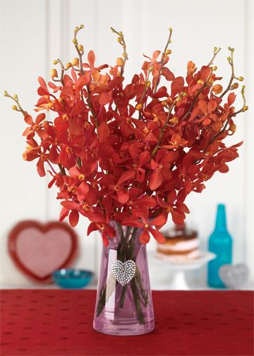 valentine's day bouquet of orchids in a vase