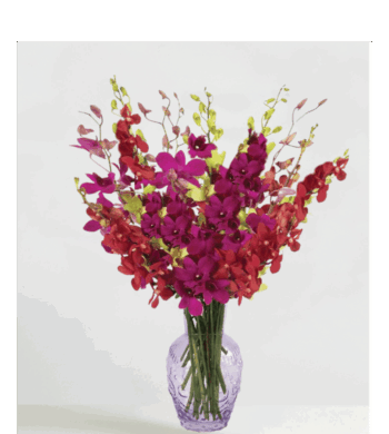 Charisma Orchid Bouquet