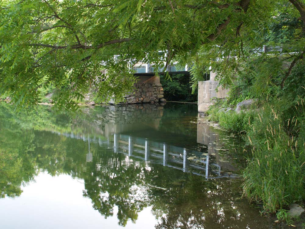 Reflections: The pond & the bridge