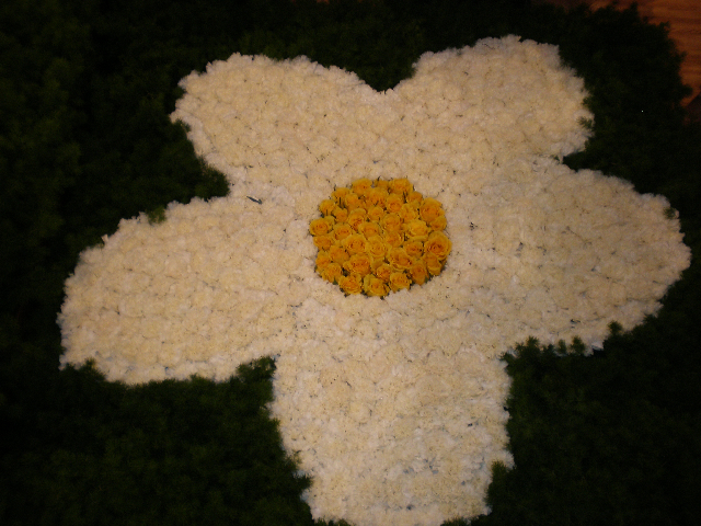 Daisy Pushin Daisies