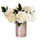 Glowing White Carnations