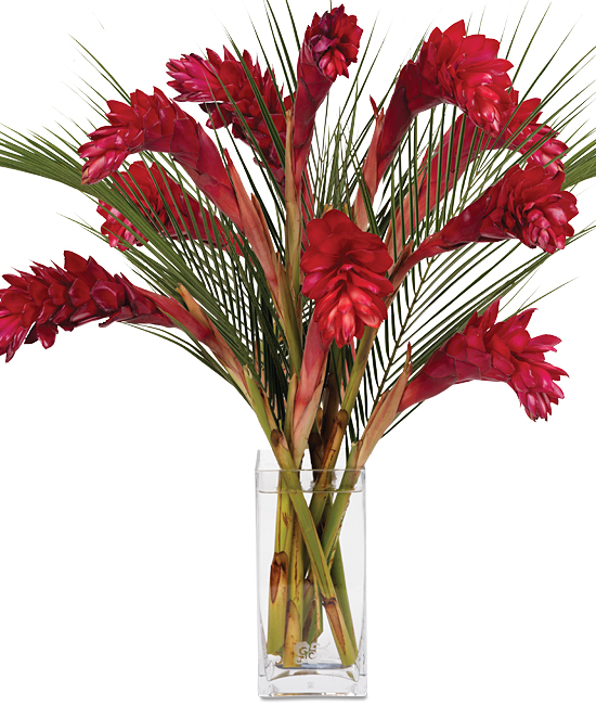 the calyx flowers The description of flowers various technical terms are used for describing the form and arrangement of flowers the calyx surrounds the corolla, . the calyx flowers The description of flowers various technical terms are used for describing the form and arrangement of flowers the calyx surrounds the corolla, .