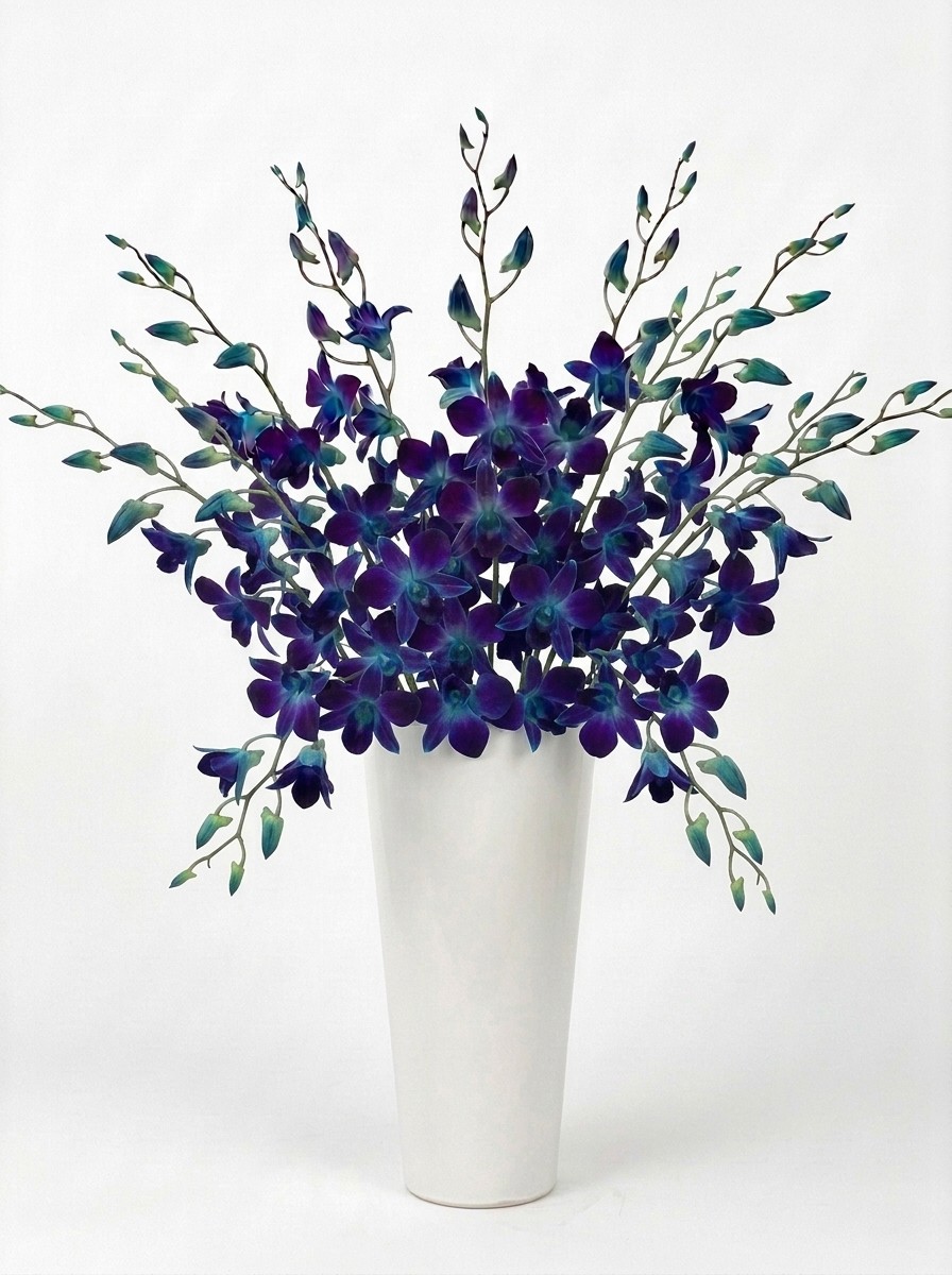 december year of flowers