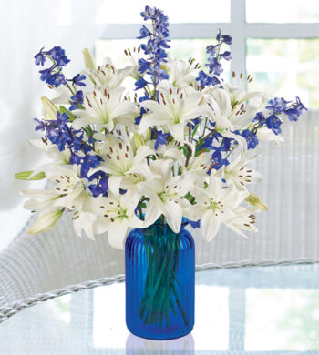 Delphiniums