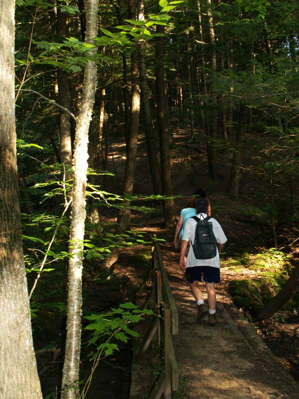 Hiking Down the Trails