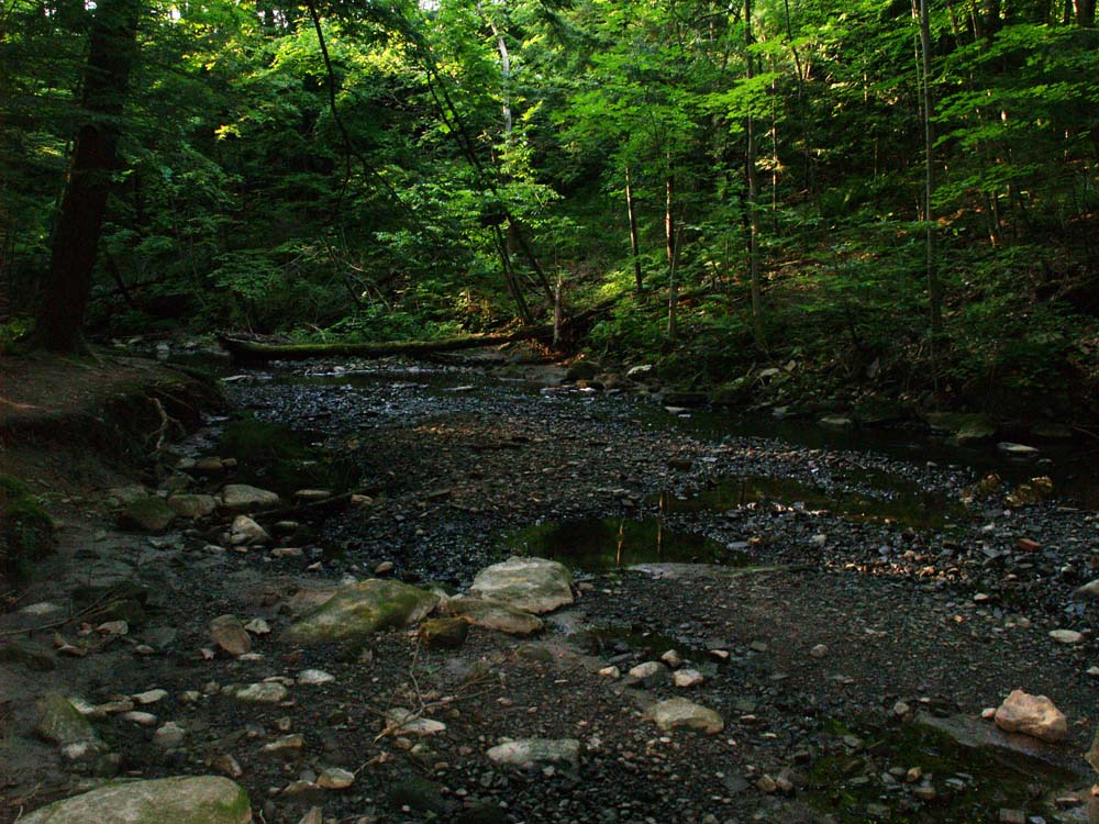 Pretty Potash Brook 