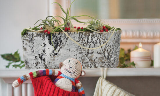Airplant Tabletop Centerpiece