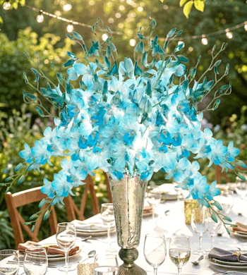 20 Stems Fugi Blue Bom Orchids
