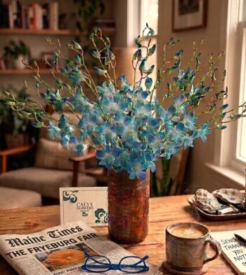 20 Stems Fugi Blue Bom Orchids