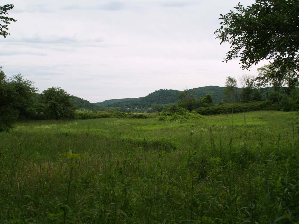 The View at Geprags Park