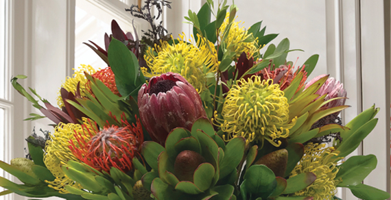 Distinctive Tropicals