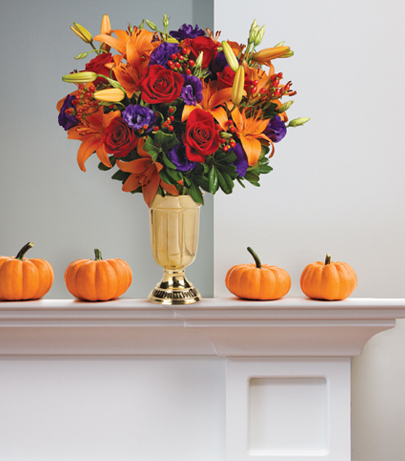 Our Thanksgiving Collection Preview