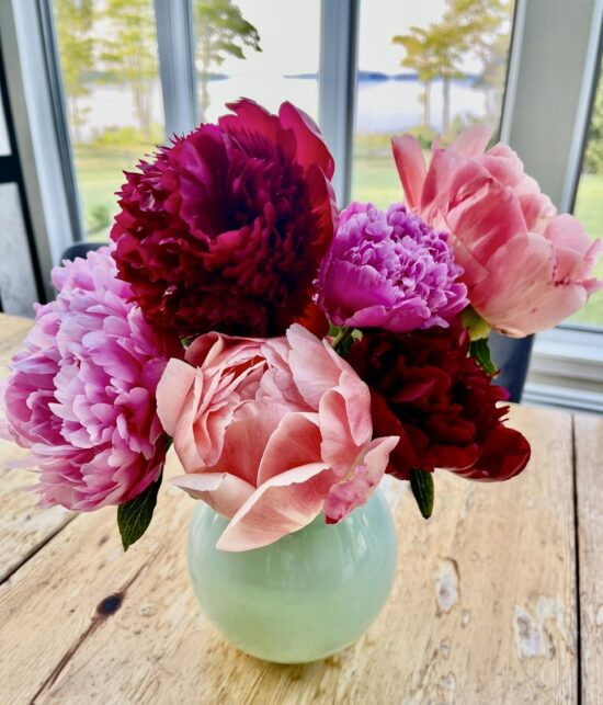Peonies from Oregon- DIY!  May 13- June 6th Hurry!