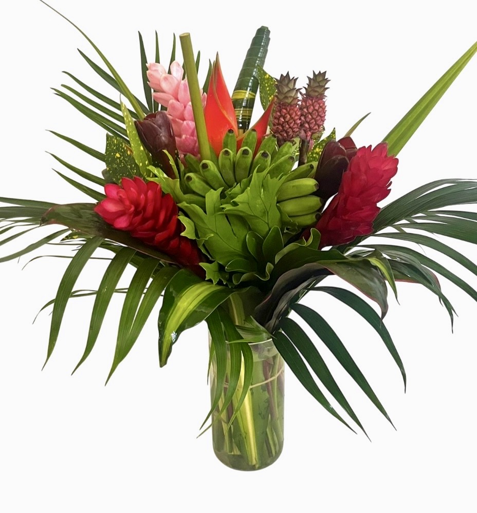 Anana Red & Pineapple, Plantain Tropicals