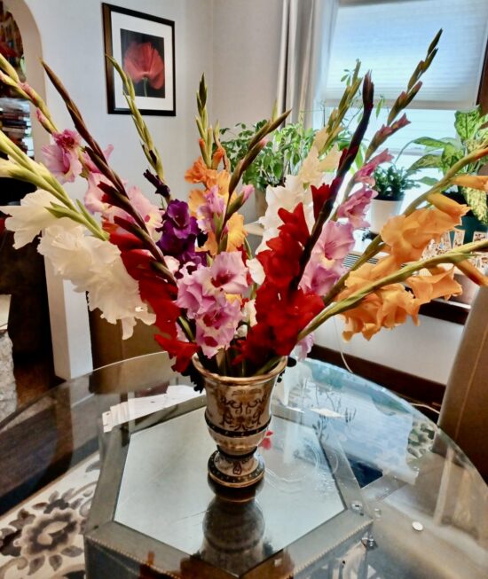 Gladiolus - Limited - Harvest Time!