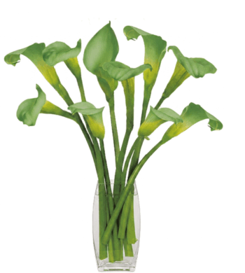 The Year of Lilies - Calyx Flowers, Inc