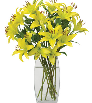 リレオストア　lille og stor blomst Ｌ　キャメル oct-queen-of-the-night-lilies-
