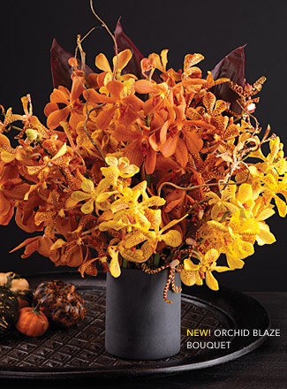 Orchid Blaze Bouquet