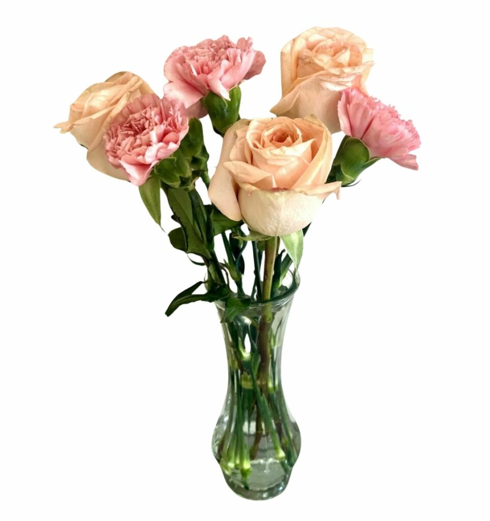 Peach Roses & Carnations - Calyx Flowers, Inc