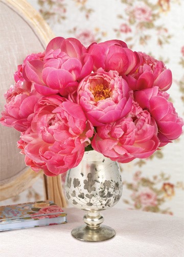 With Love Peonies