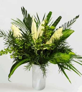 Pure Joy White Ginger & Chilli