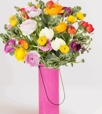 Pink Vase & Vibrant Ranunculus