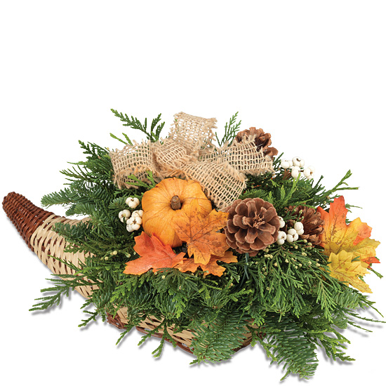 Seasonal Cornucopia $49.95