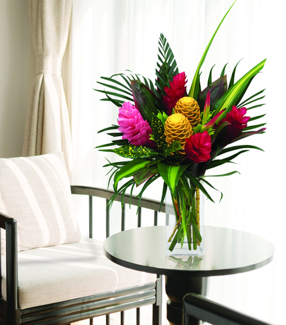 Exotic Tropicals
