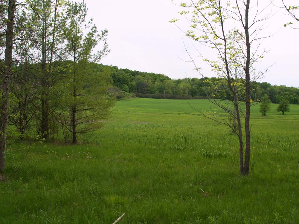 Shelburne Bay Park Vermont