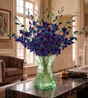 Stunning Sapphire Orchids