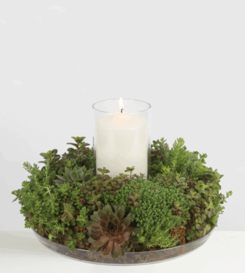 Succulent Candle Ring