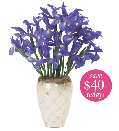 Luxury Rewards Telstar Blue Iris Bouquet