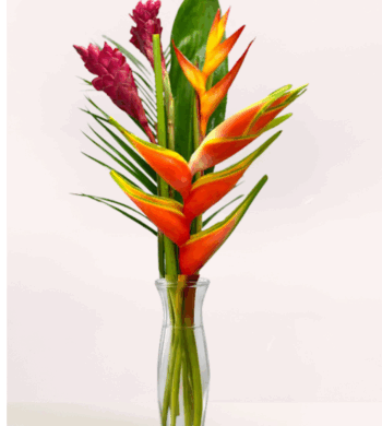 Tropic Knight Bouquet