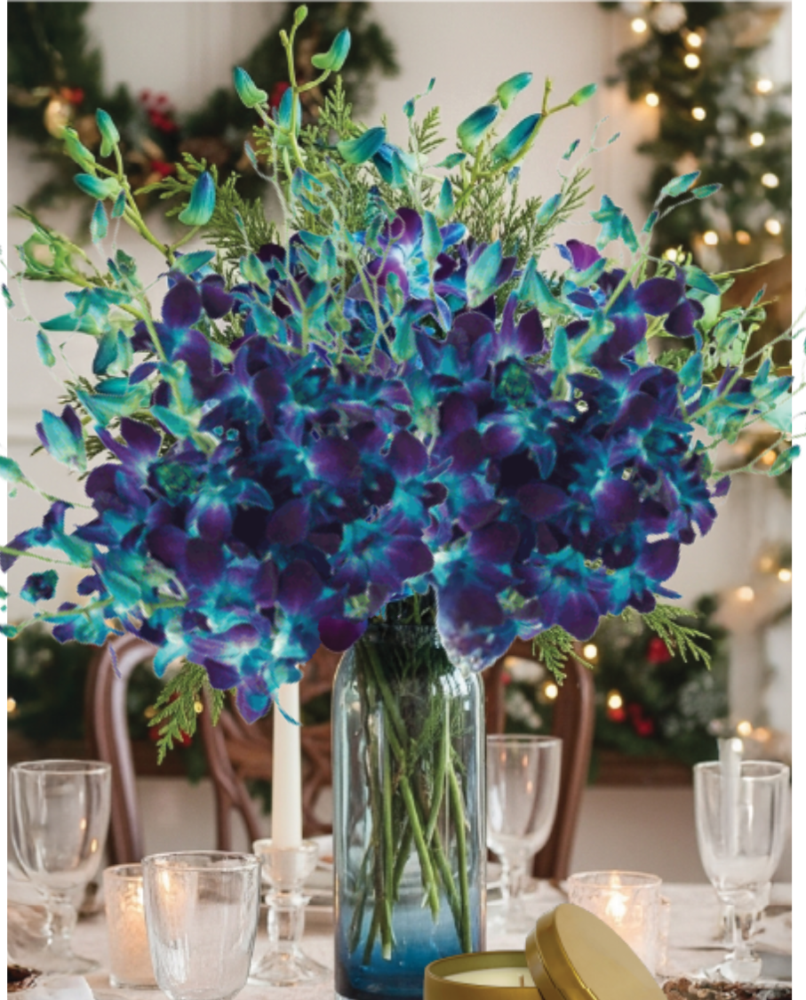 The Ultimate Year of Orchids