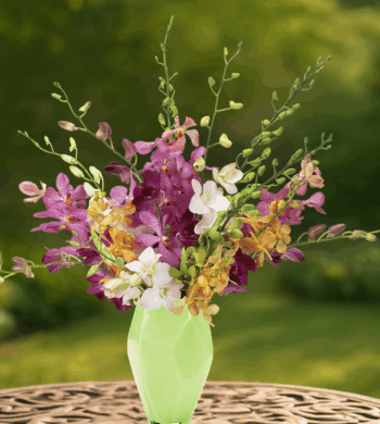 Artesian Orchids