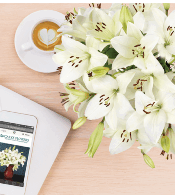 The Ultimate Year of Lilies