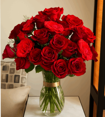 The Ultimate Year of Roses