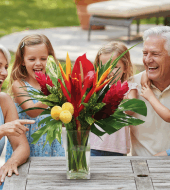 The Ultimate Year of Tropicals