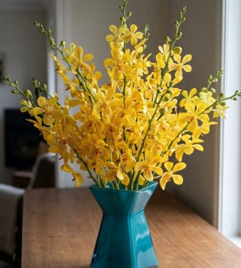 Yellow Golden Orchids